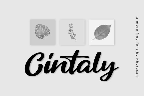 Cintaly Font for Professional Branding