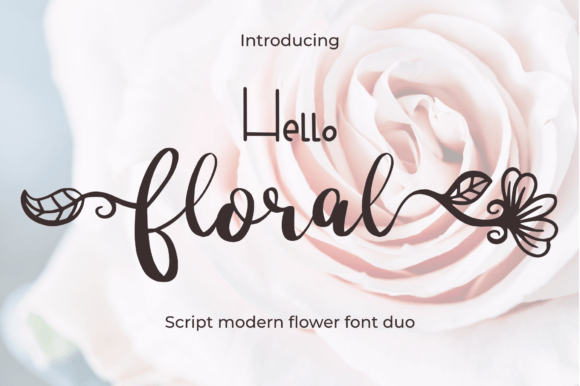 Hello Floral: A Feminine Script Font for Digital Marketing